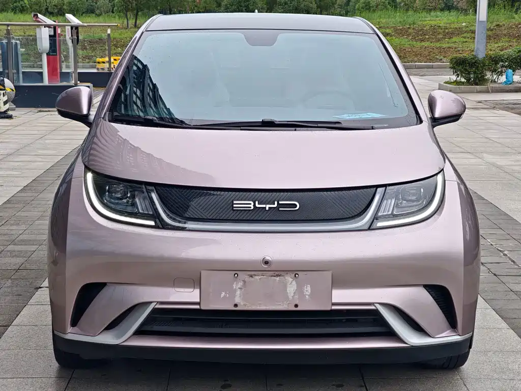 BYD Dolphin — миниатюра 2