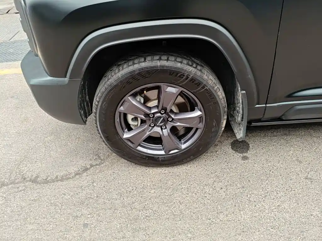 Haval Menglong New Energy — миниатюра 23