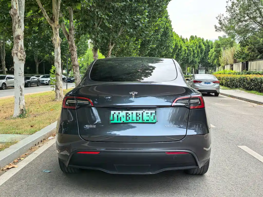 Tesla Model Y — миниатюра 8