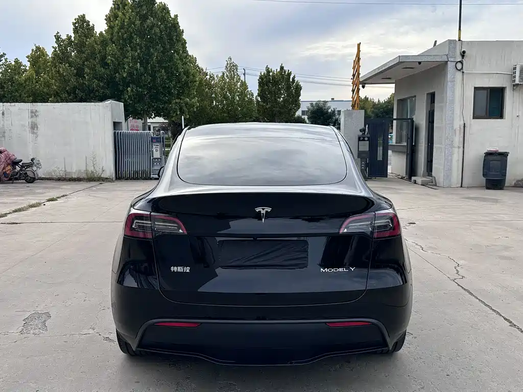 Tesla Model Y — миниатюра 4