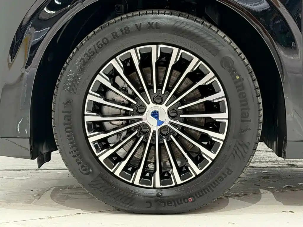 Denza Denza D9 — миниатюра 11