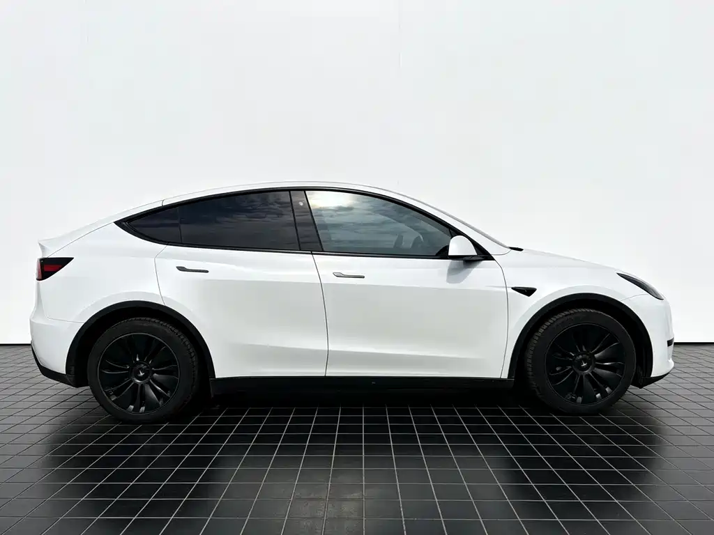Tesla Model Y — миниатюра 8