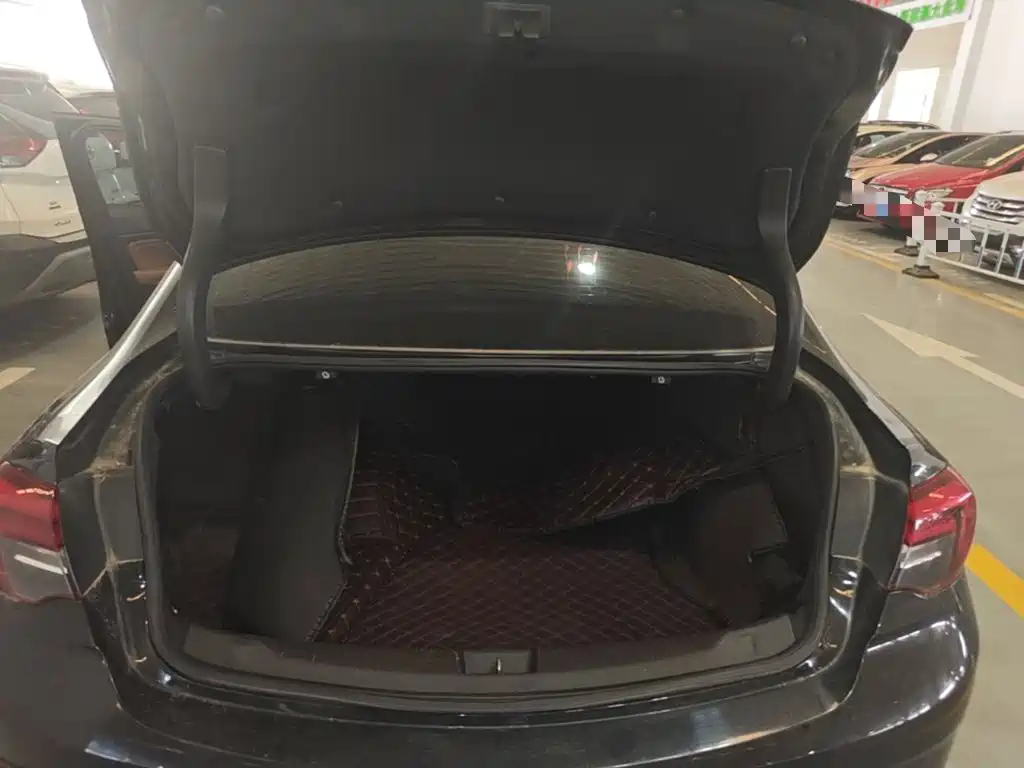 Buick Regal — миниатюра 19