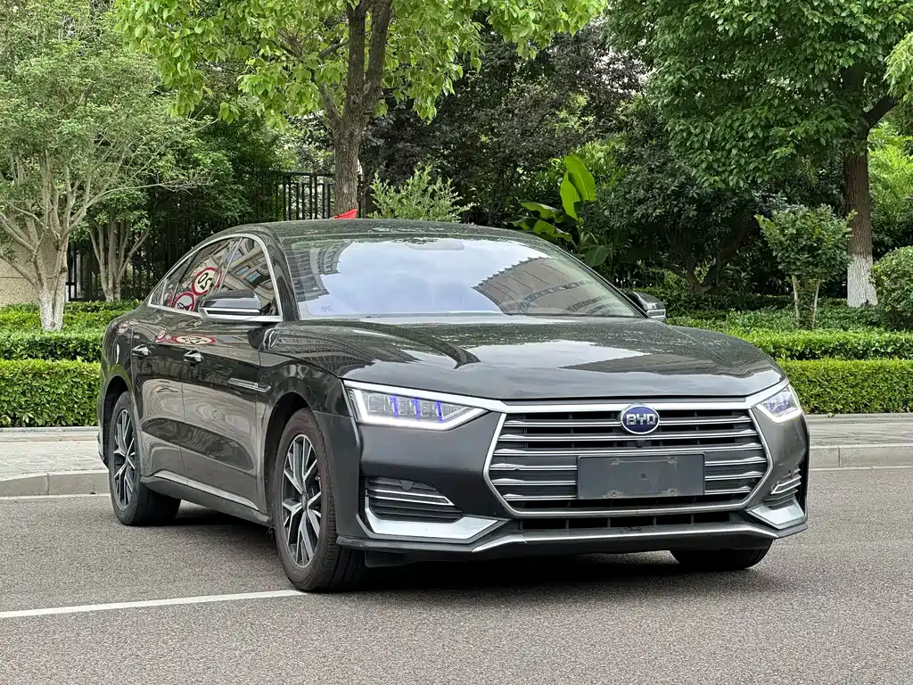BYD e9 — миниатюра 3
