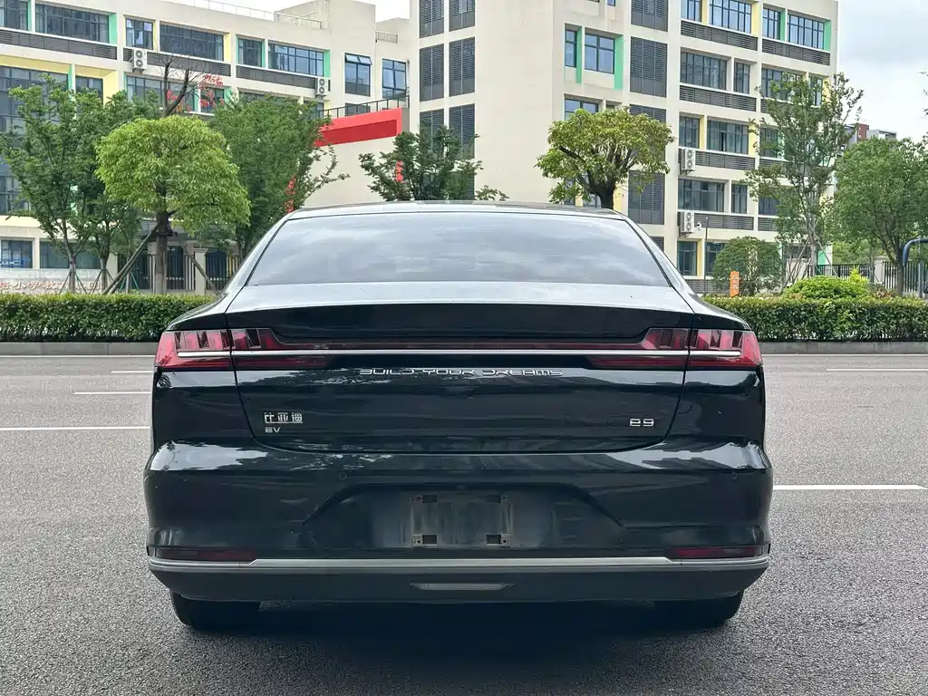BYD e9 — миниатюра 5