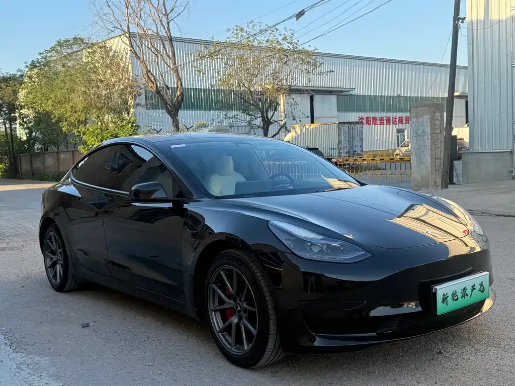 Tesla Model 3 — миниатюра 3