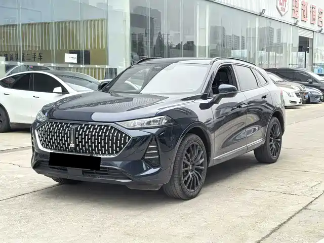 WEI PAI WEI BRAND MOCHA NEW ENERGY 2022