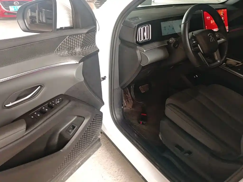 BYD Pro New Energy — миниатюра 16