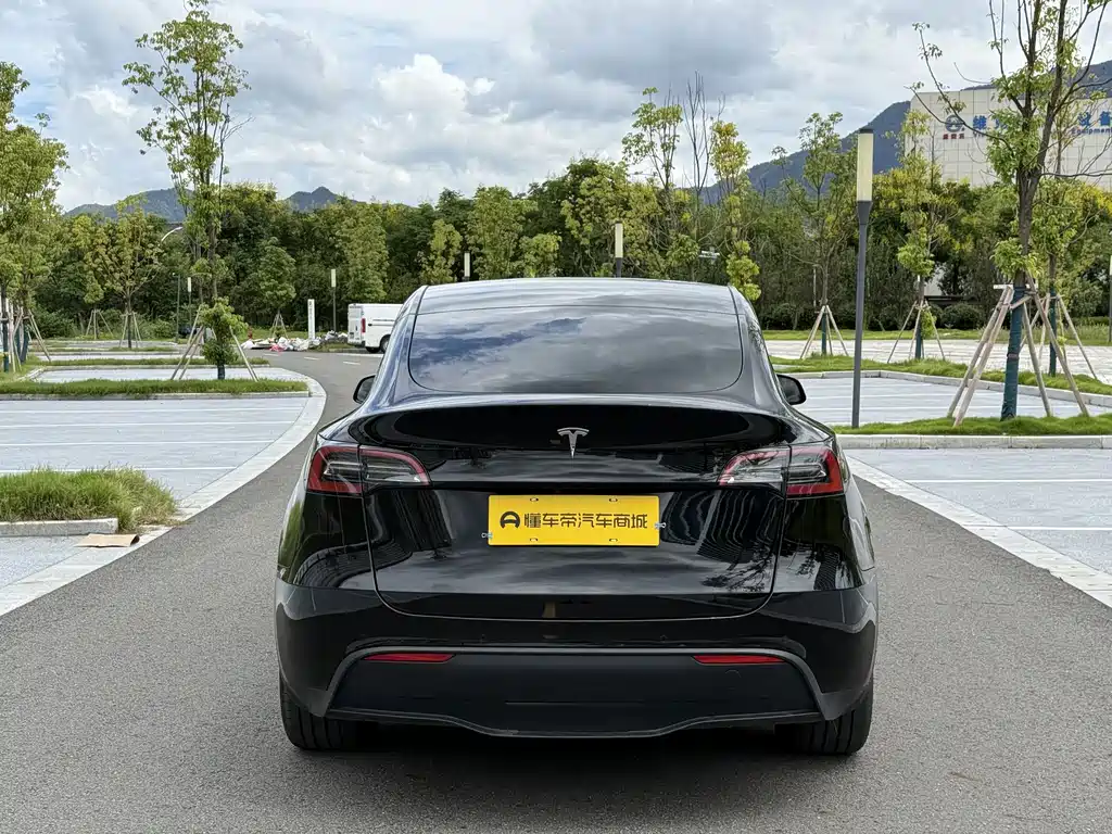 Tesla Model Y — миниатюра 13