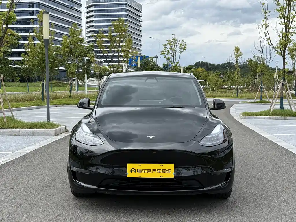 Tesla Model Y — миниатюра 2