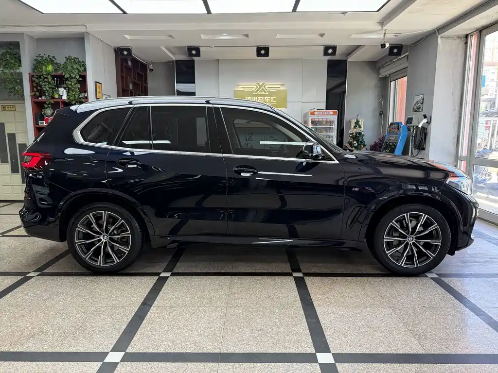 BMW X5 (Import) — миниатюра 8