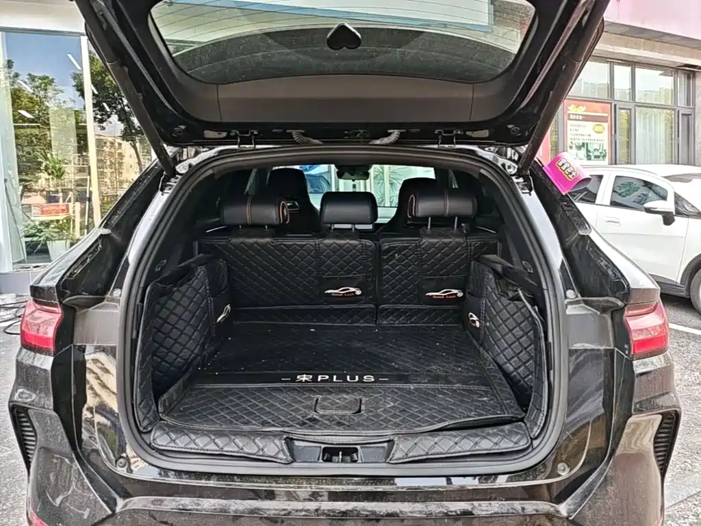 BYD PLUS New Energy — миниатюра 19