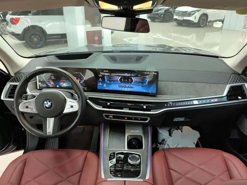 BMW X5 — миниатюра 10