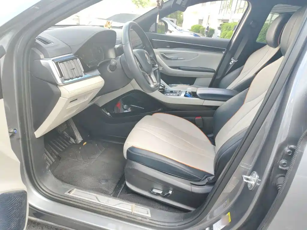 BYD PLUS New Energy — миниатюра 8