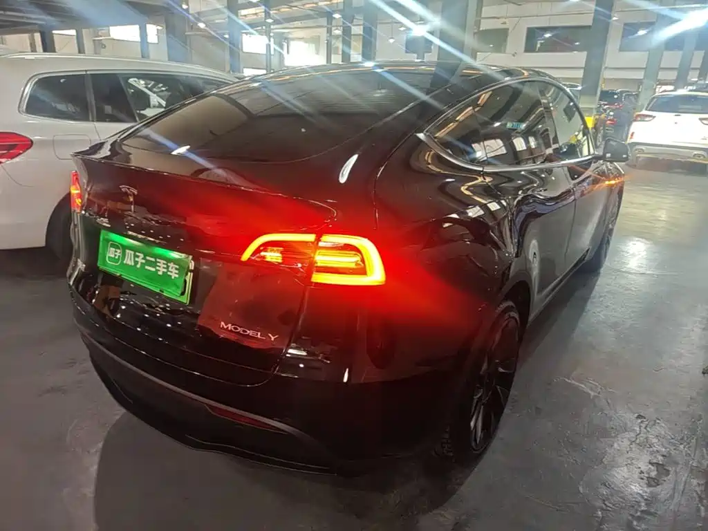 Tesla Model Y — миниатюра 7