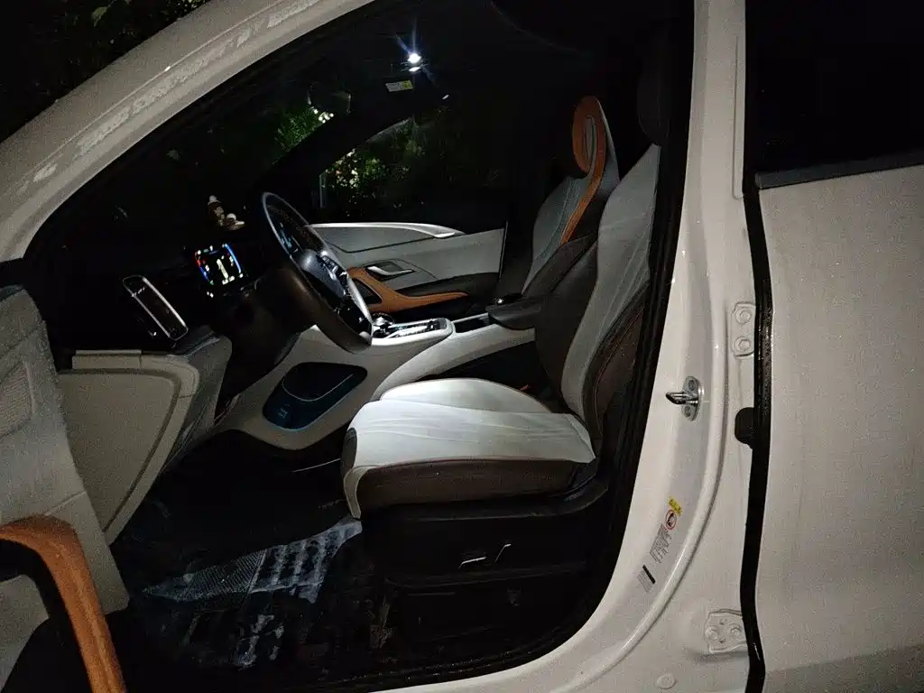 BYD Pro New Energy — миниатюра 11