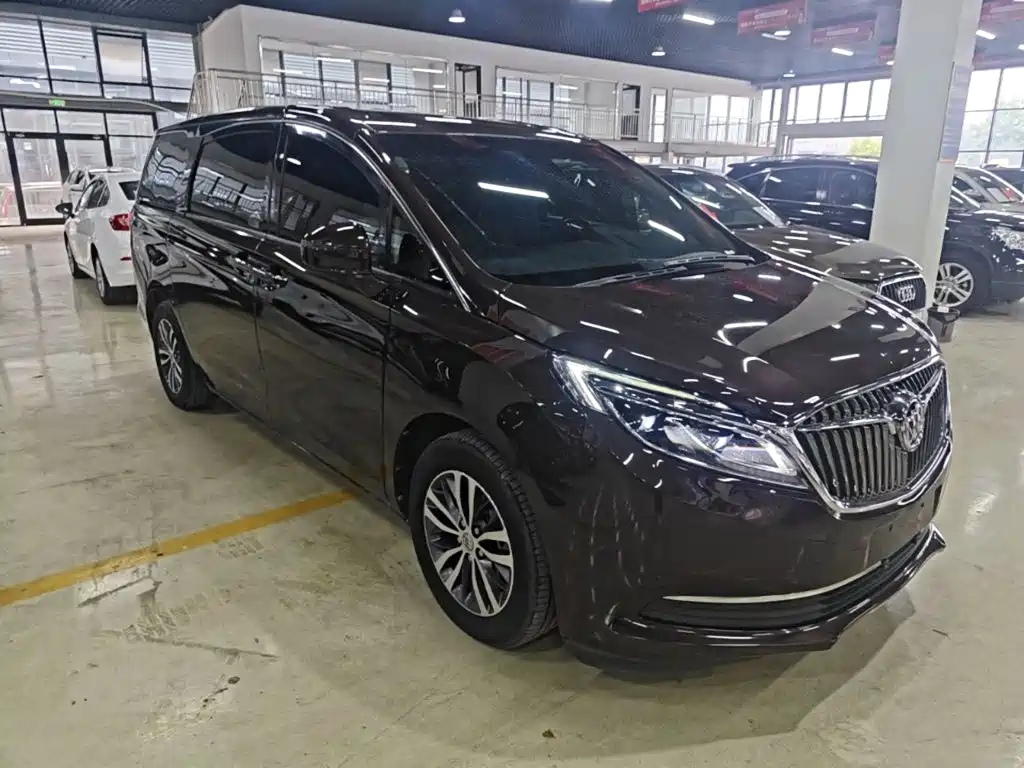 Buick GL8 — миниатюра 4