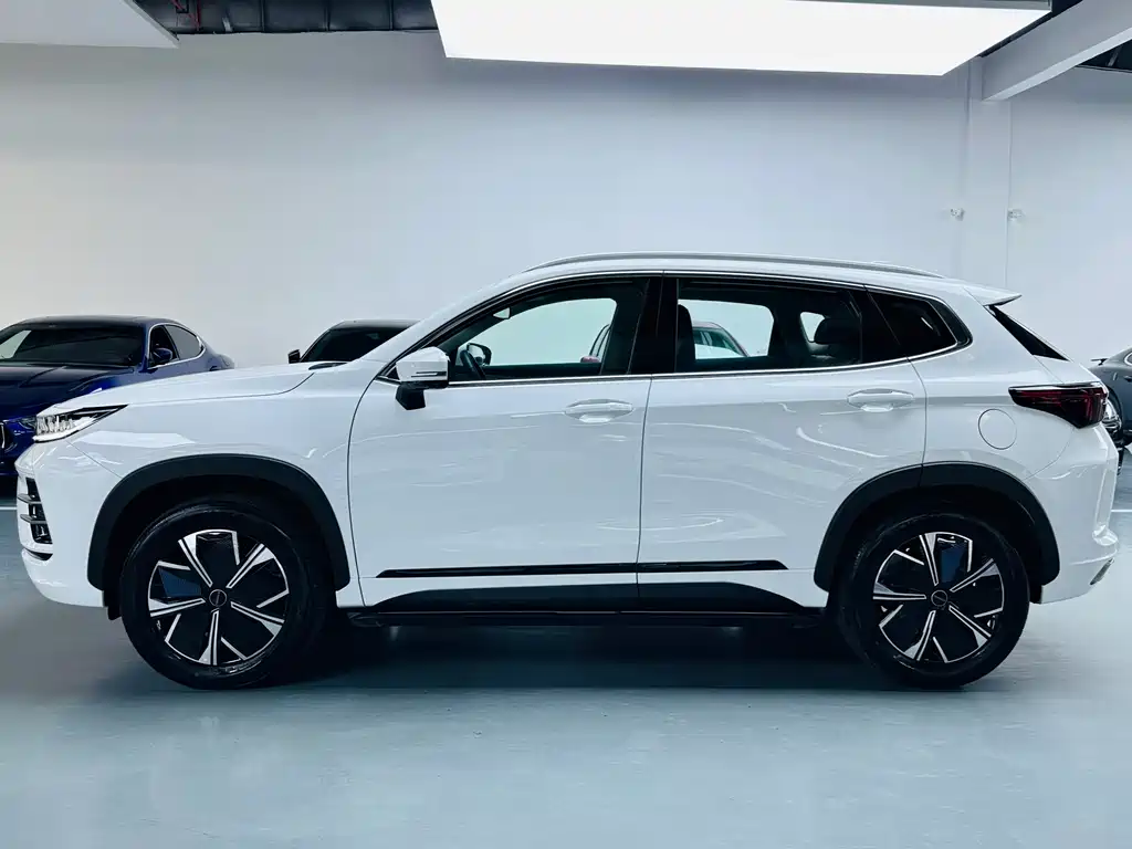 Exeed Zhaofeng C-DM — миниатюра 12