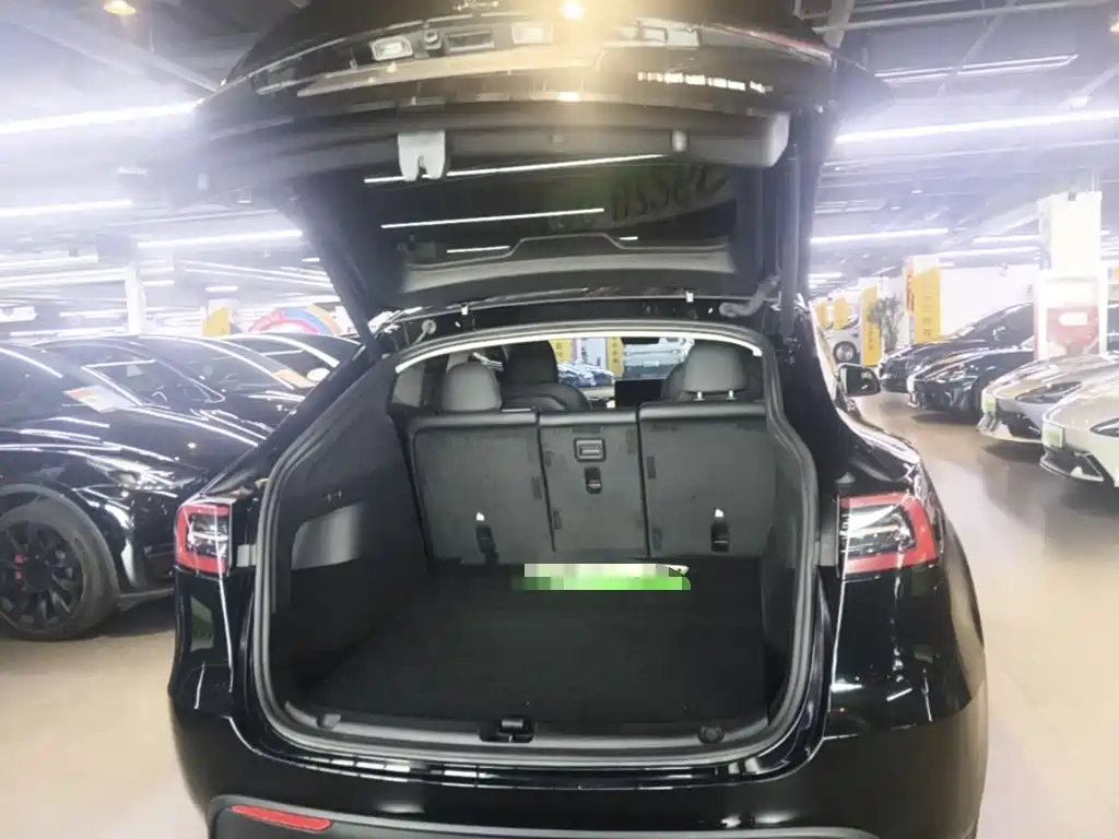 Tesla Model Y — миниатюра 19