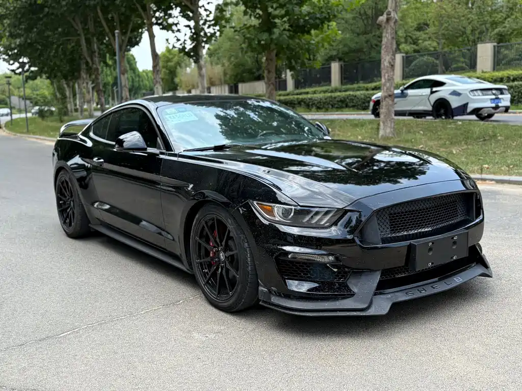 Ford Mustang — миниатюра 3