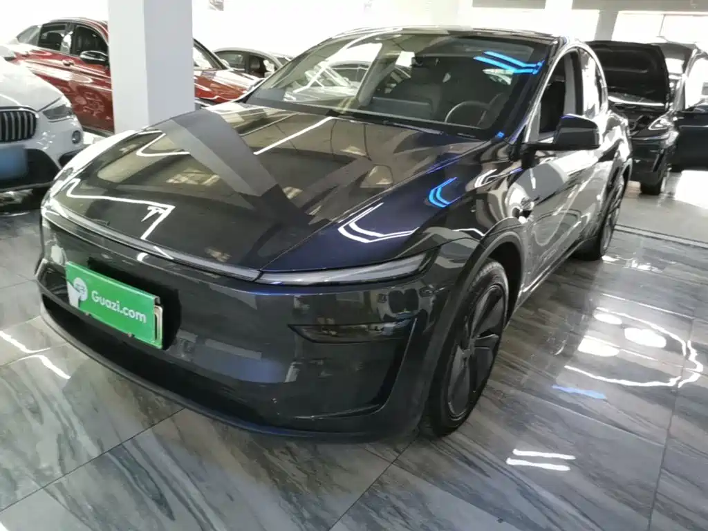 Tesla Model Y — миниатюра 2