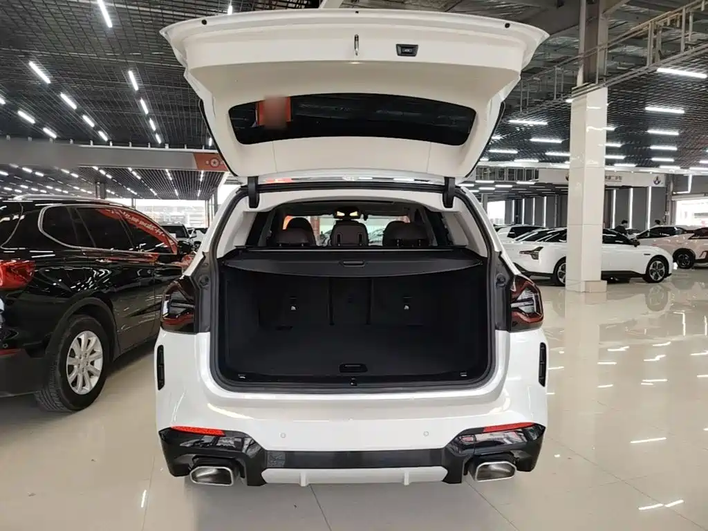 BMW X3 — миниатюра 19