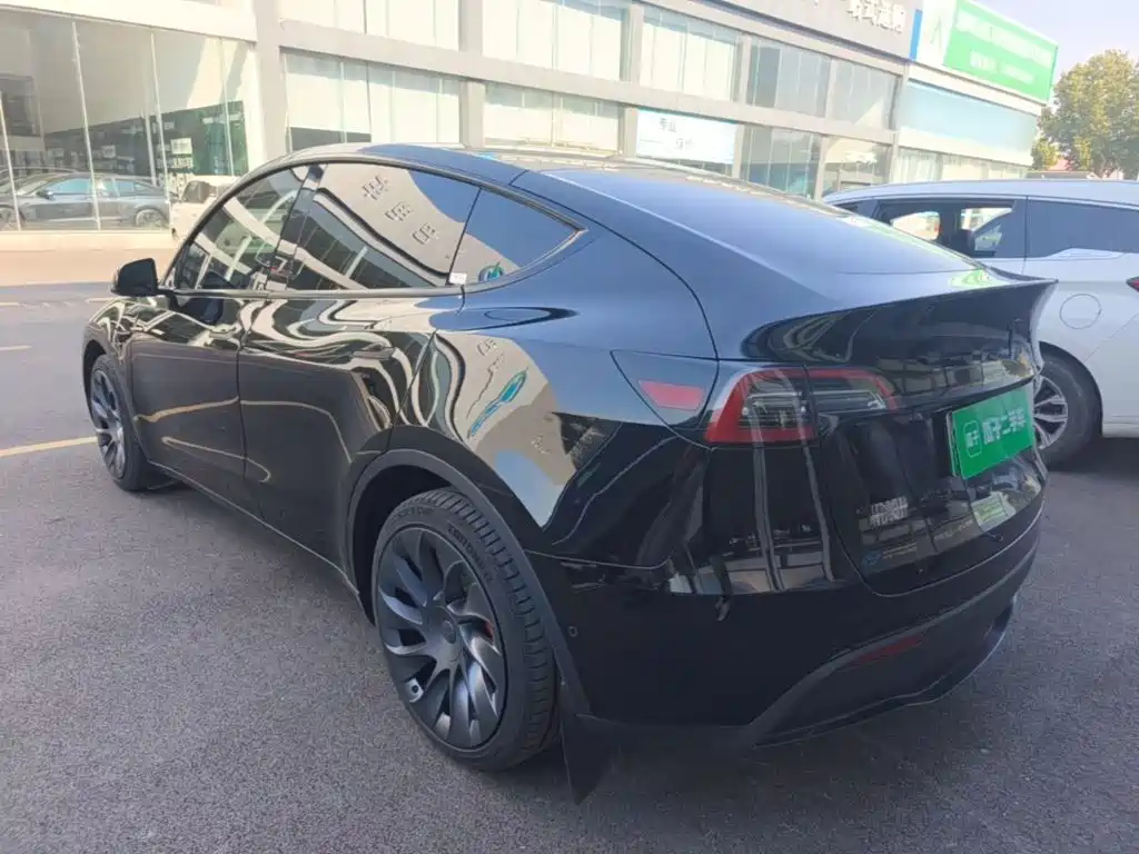 Tesla Model Y — миниатюра 5