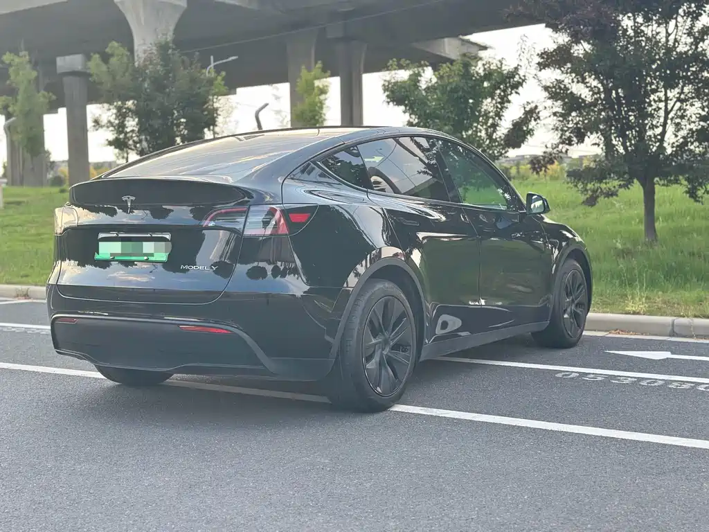Tesla Model Y — миниатюра 9