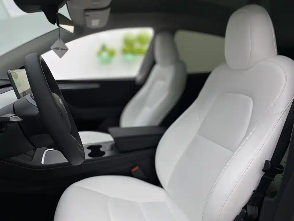 Tesla Model Y — миниатюра 29