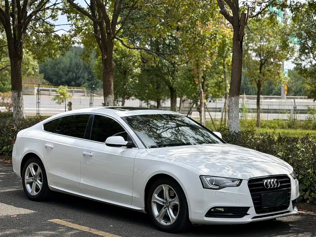 Audi A5 (Import) — миниатюра 4