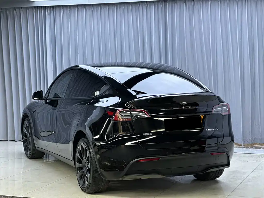 Tesla Model Y — миниатюра 6