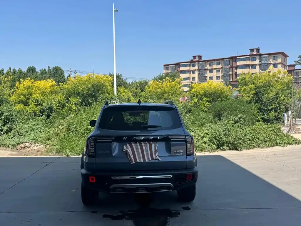 Haval Big Dog — миниатюра 6
