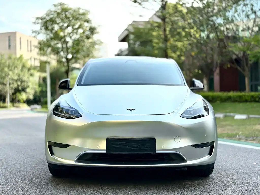 Tesla Model Y — миниатюра 2