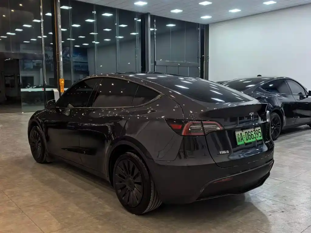 Tesla Model Y — миниатюра 7