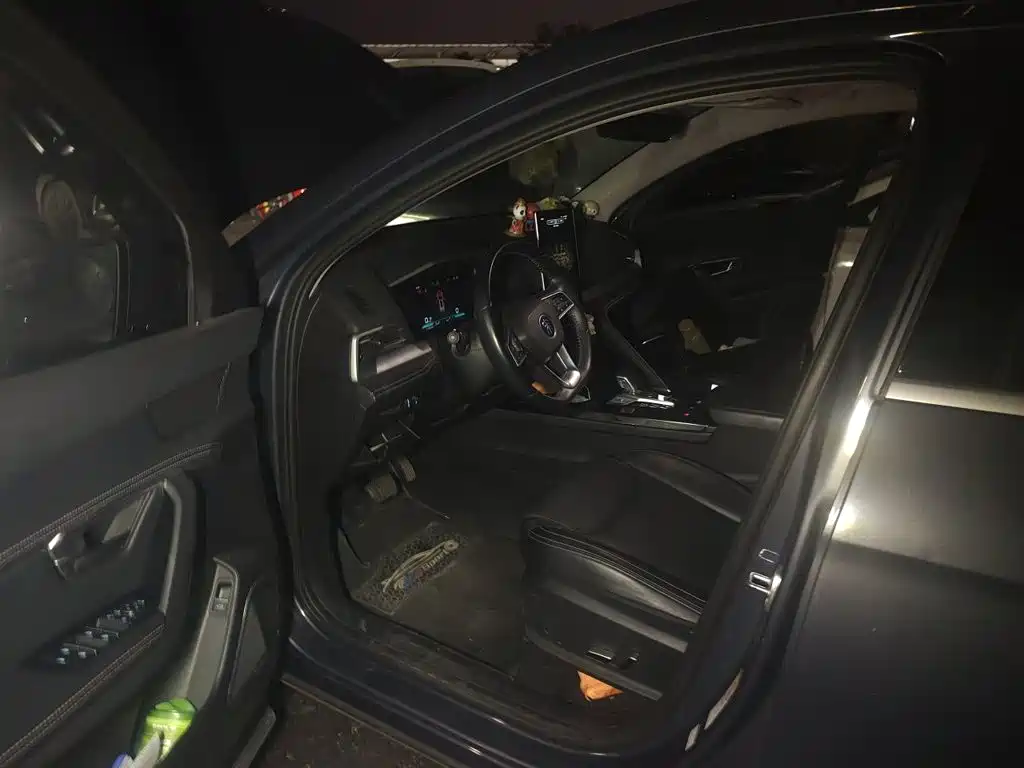 BYD Pro — миниатюра 12