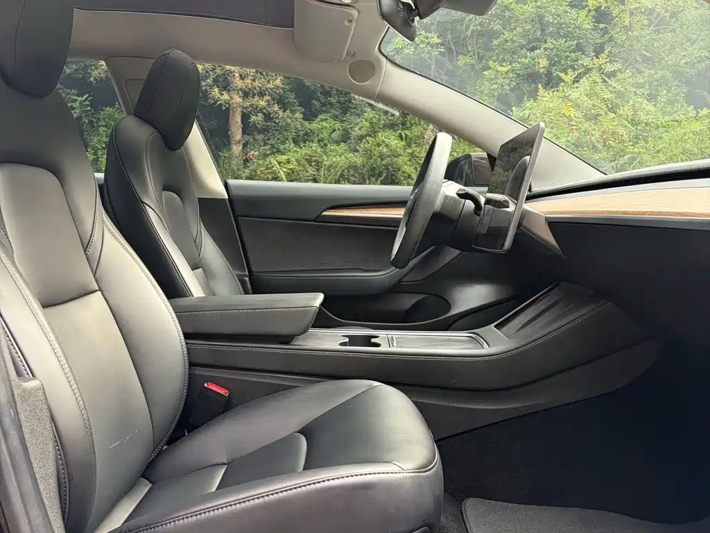 Tesla Model 3 — миниатюра 14