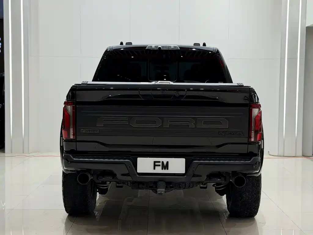 Ford F-150 Raptor — миниатюра 18