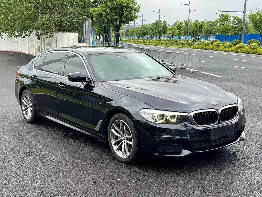 BMW 5 Series — миниатюра 3