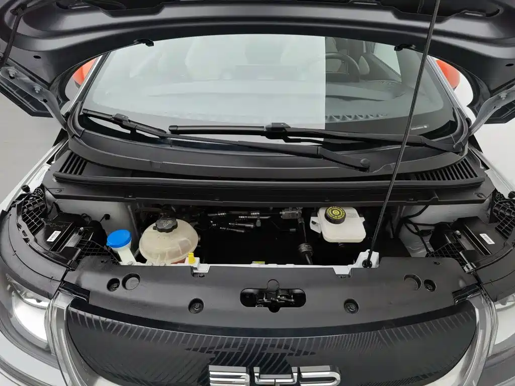 BYD Dolphin — миниатюра 6