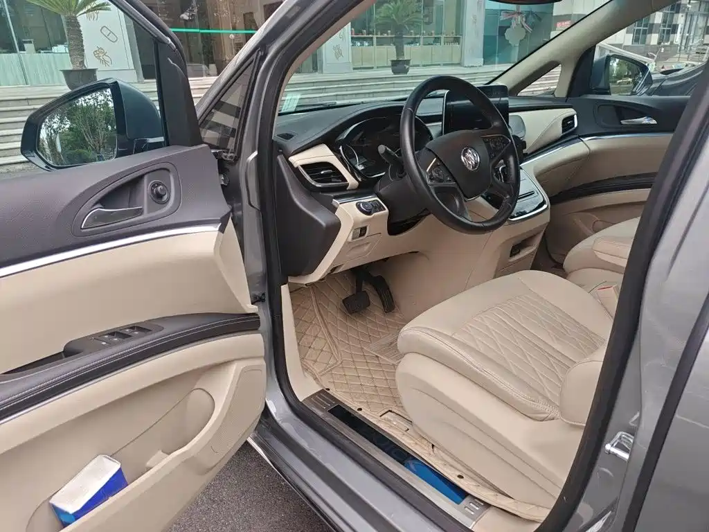 Buick GL8 — миниатюра 17