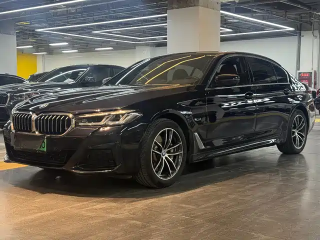BMW 5 SERIES NEW ENERGY 2021