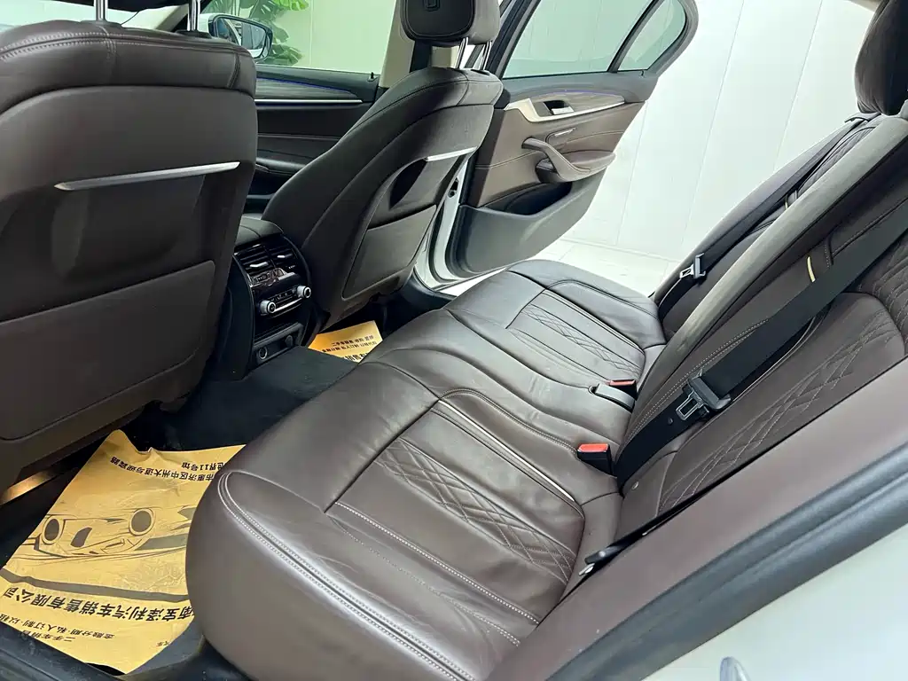 BMW 5 SERIES NEW ENERGY