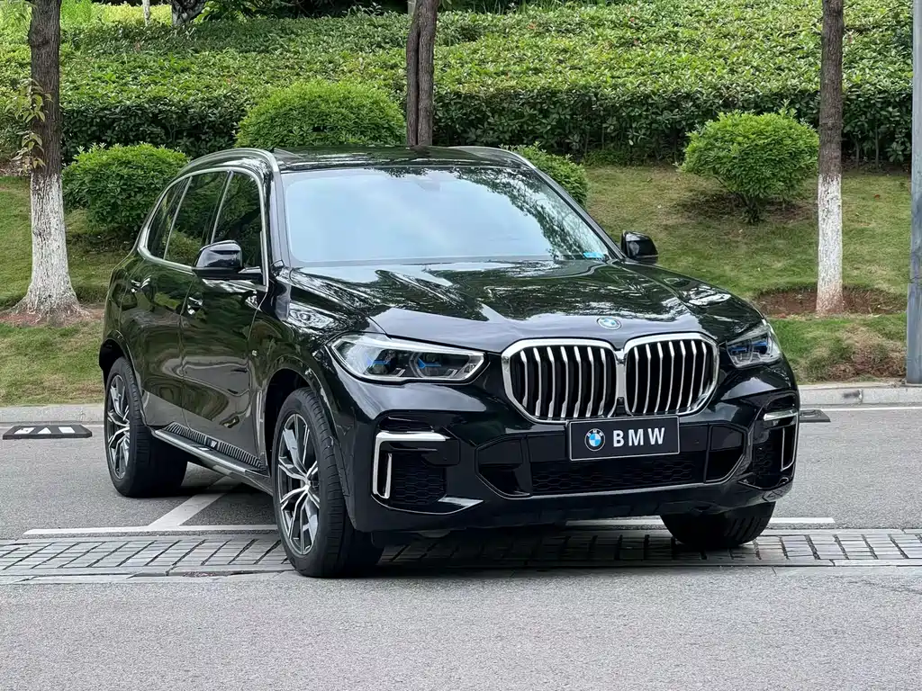 BMW X5 2022 xDrive 30Li Premium M Sport