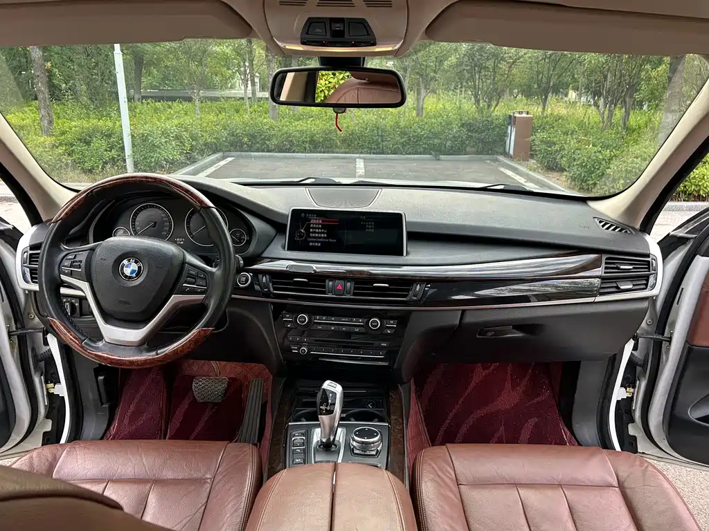 BMW X5 (Import) — миниатюра 8