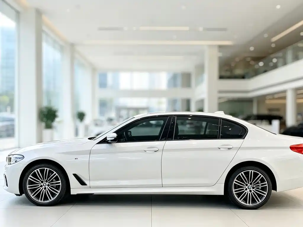 BMW 5 Series — миниатюра 3