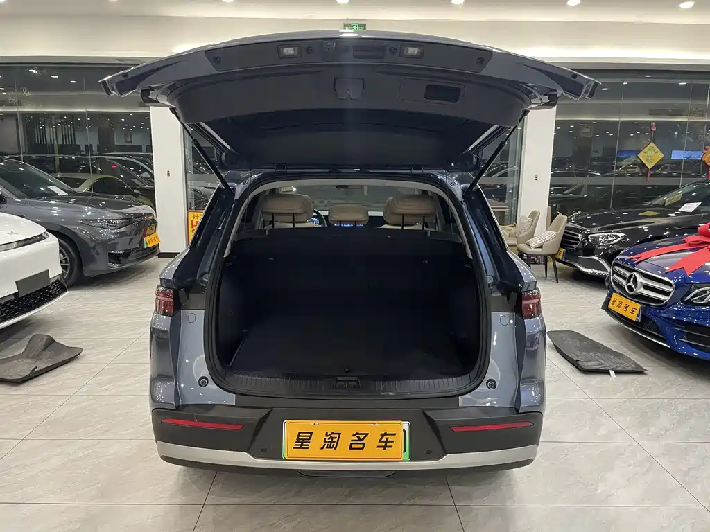 BYD SONGJIANG NEW ENERGY