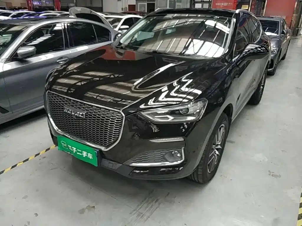 Haval F5 — миниатюра 2