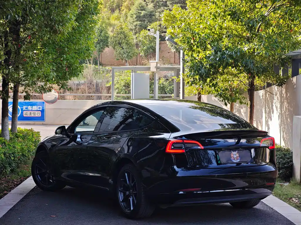 Tesla Model 3 — миниатюра 6
