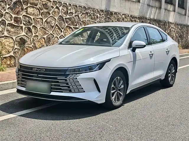 BYD DESTROYER 05
