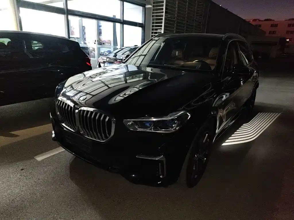 BMW X5 — миниатюра 2